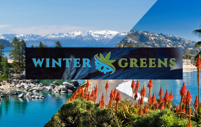 From Slopes to Sand, Winter Greens Cannabis Delivery Finds Steady Solution in Dama Payments